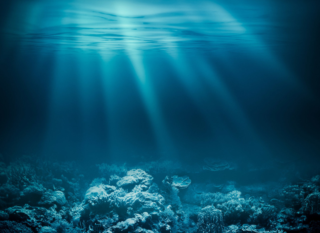 Underwater coral reef seabed and water surface with sky - Texas ...